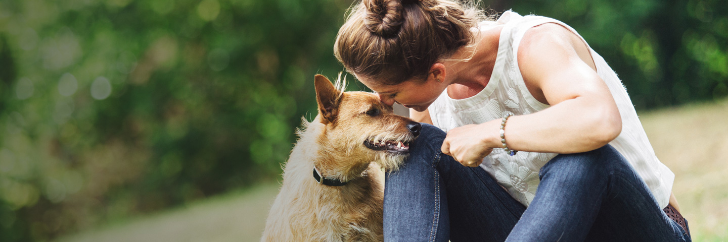 DogWatch of Springfield, Springfield, Illinois | BarkCollar No-Bark Trainer Slider Image